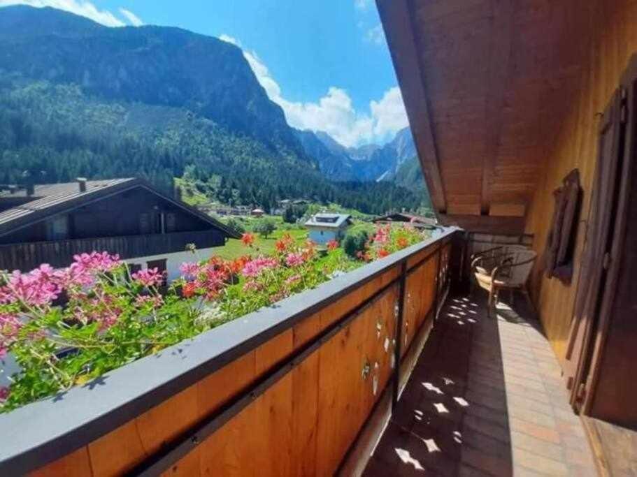 La Mansarda In The Dolomites Jacuzzi Διαμέρισμα Santo Stefano Di Cadore Εξωτερικό φωτογραφία